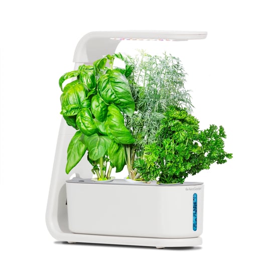 aerogarden-sprout-white-1