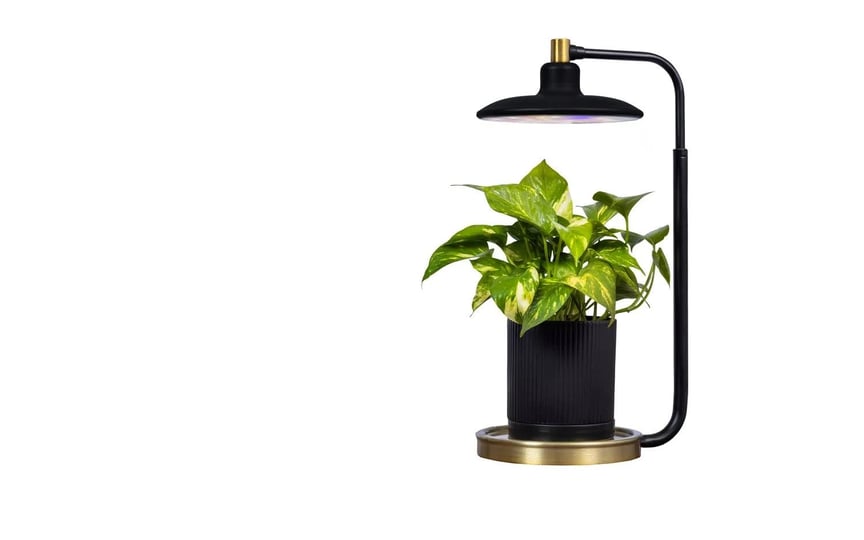 aerogarden-tabletop-grow-light-for-indoor-plants-to-allow-live-plants-to-grow-anywhere-in-the-home-b-1