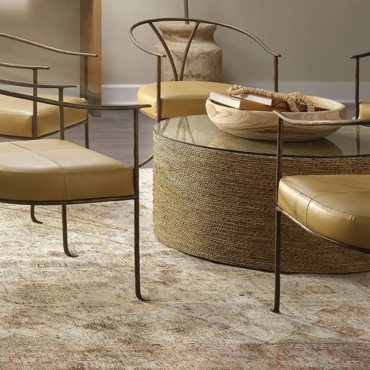 alison-coffee-table-birch-lane-1