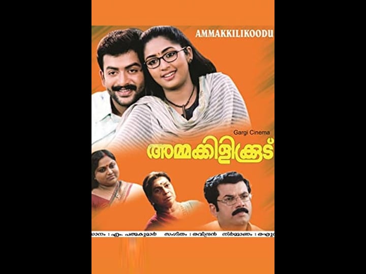 ammakilikkoodu-2241830-1