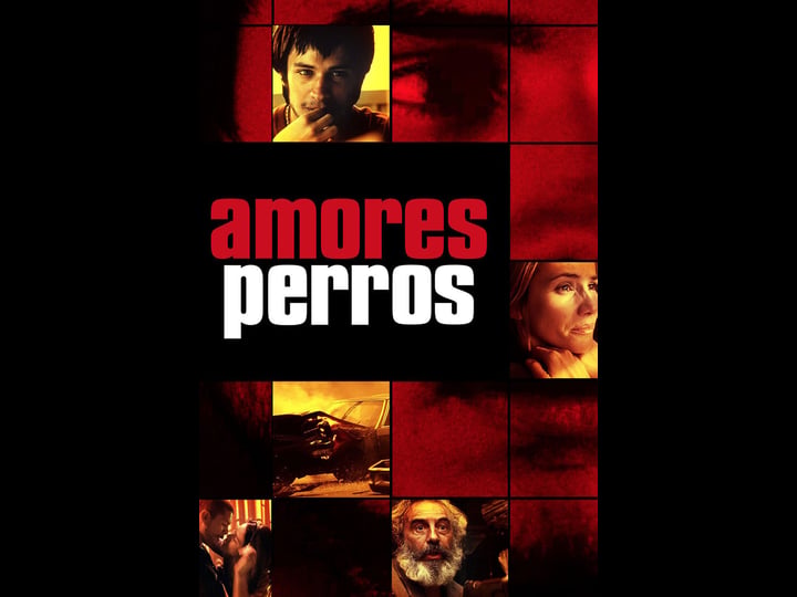 amores-perros-tt0245712-1
