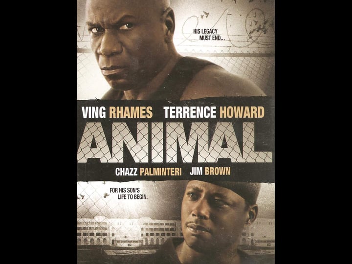 animal-779620-1