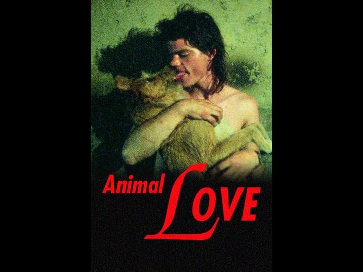 animal-love-4443085-1