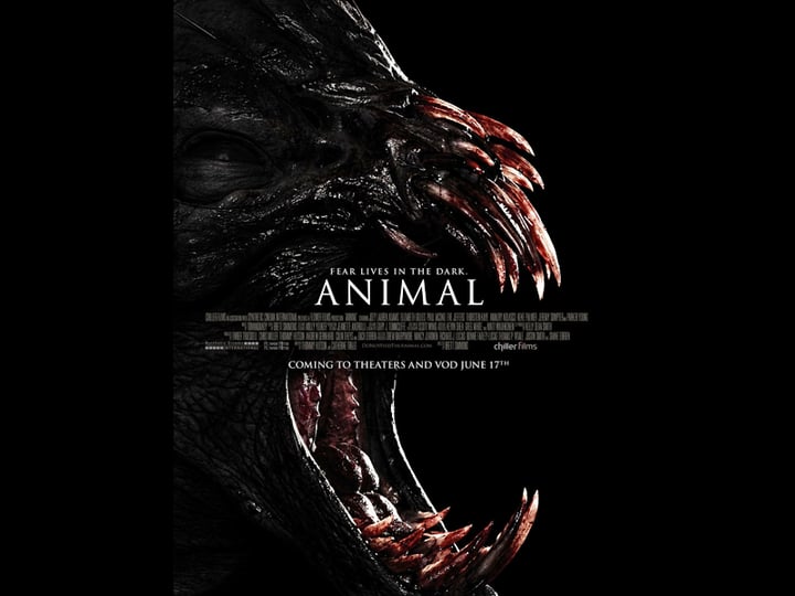animal-tt2996684-1