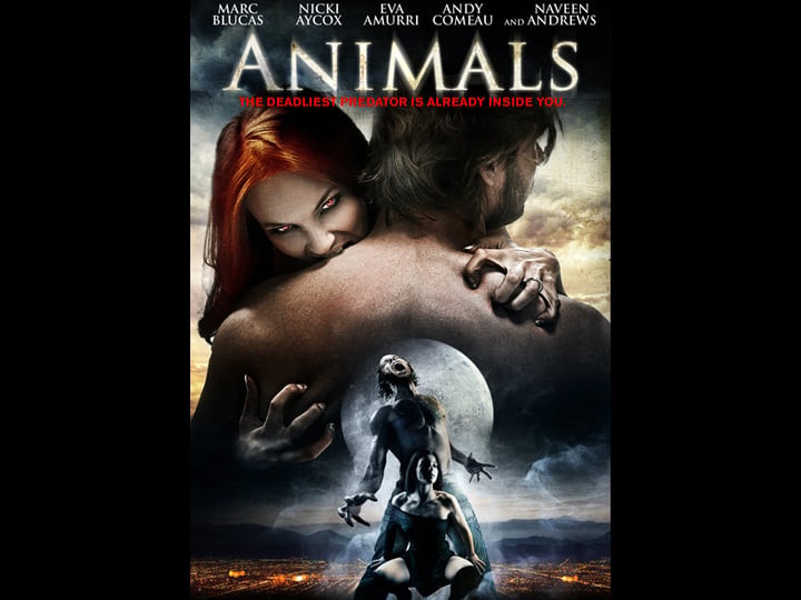 animals-4311921-1