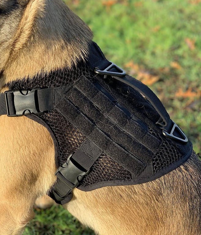 artemis-tactical-dog-harness-1