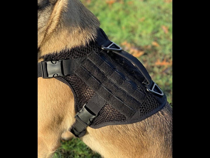 artemis-tactical-dog-harness-1