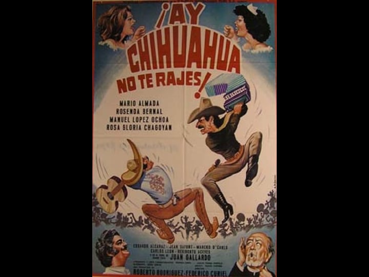 ay-chihuahua-no-te-rajes-4510684-1