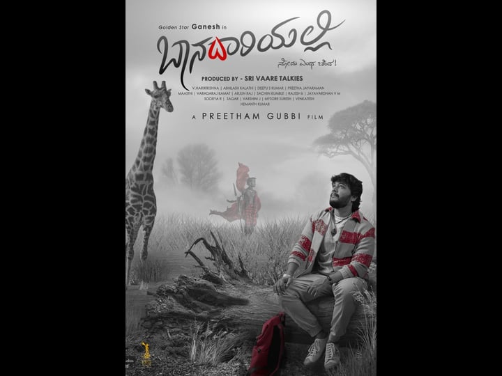 baanadariyalli-4498555-1