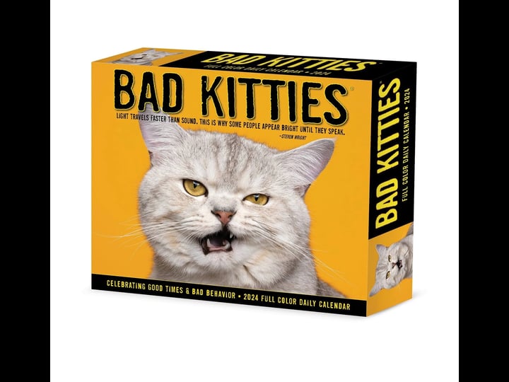 bad-kitties-2024-6-2-x-5-4-box-calendar-1