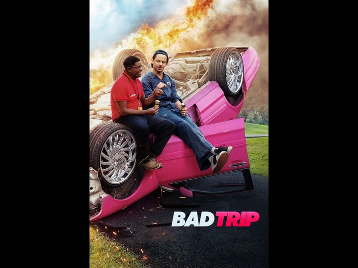 bad-trip-tt9684220-1