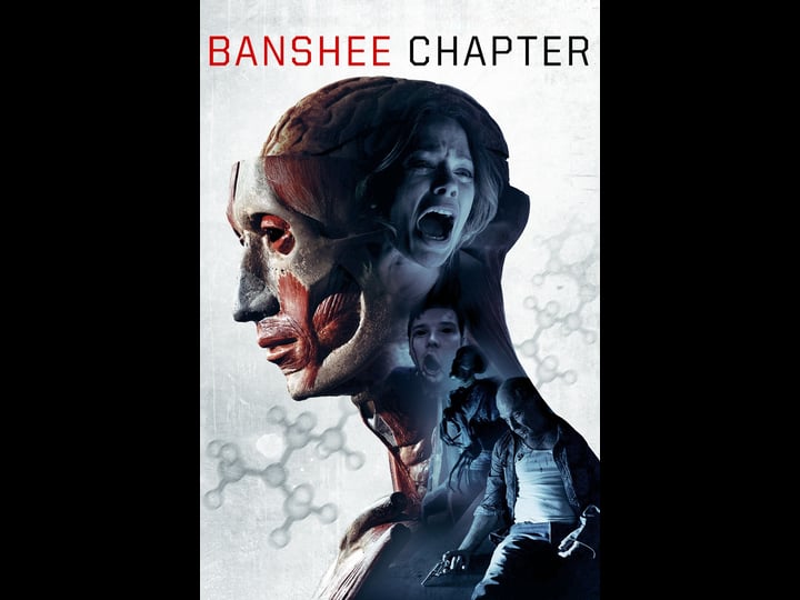 banshee-chapter-tt2011276-1