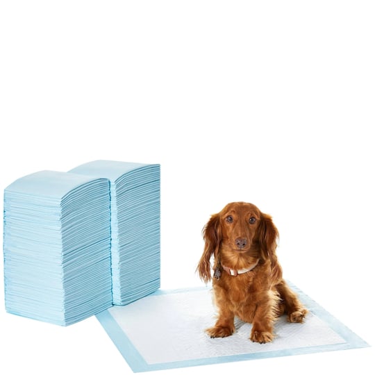 basics-pet-training-and-puppy-pads-regular-150-count-1