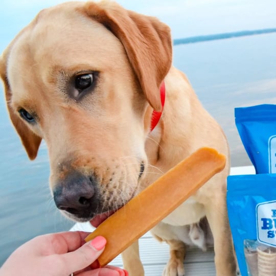 best-bully-sticks-himalayan-yak-cheese-chews-for-dogs-all-natural-usa-packed-vegetarian-lactose-free-1