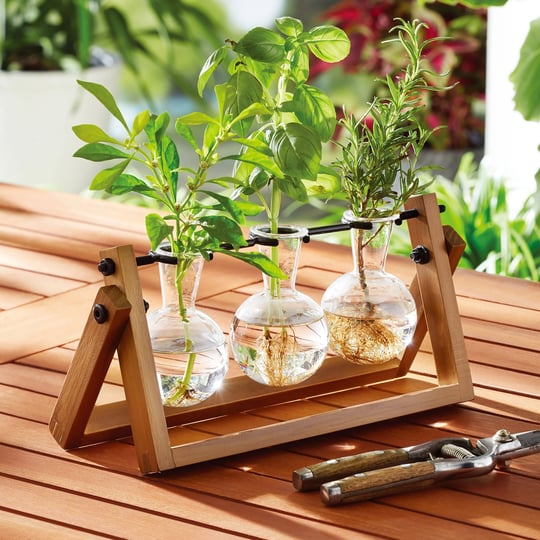better-homes-gardens-painted-rectangle-glass-and-wood-propagation-station-set-11-3-in-l-x-4-3-in-w-x-1