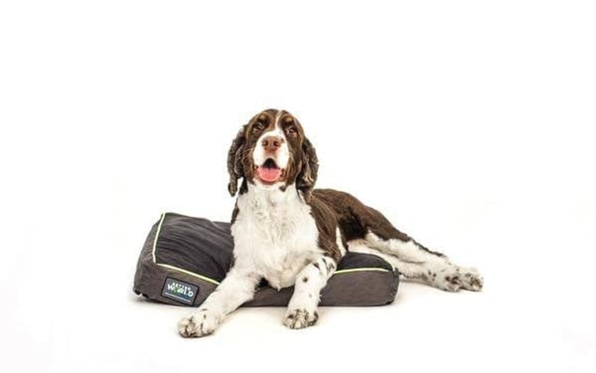 better-world-pets-orthopedic-pillow-dog-bed-with-removable-cover-rave-green-small-1