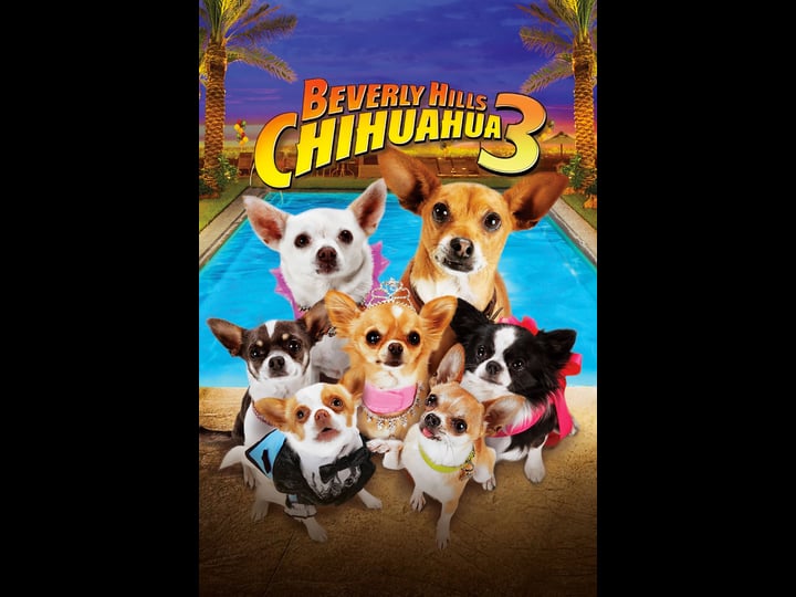 beverly-hills-chihuahua-3-viva-la-fiesta-tt2224075-1