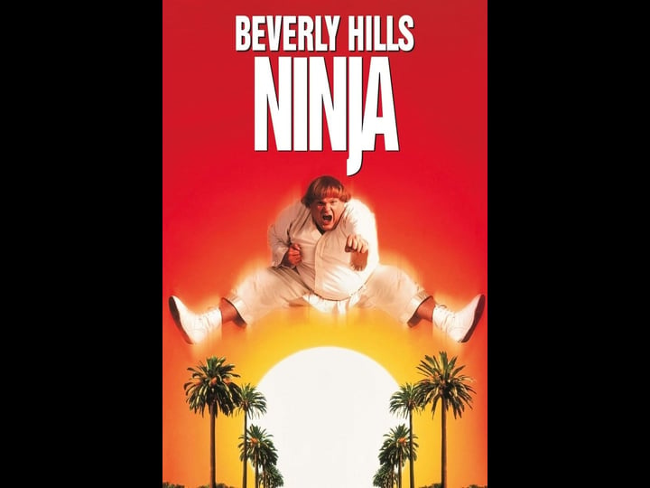 beverly-hills-ninja-tt0118708-1