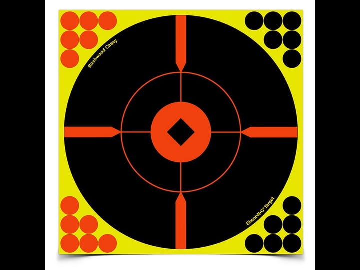 birchwood-casey-bmw-6-shoot-n-c-round-x-target-8-inch-1