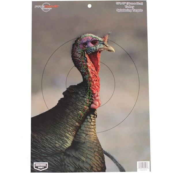 birchwood-casey-pregame-turkey-target-1