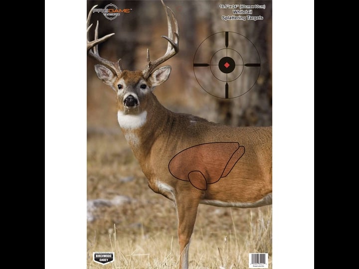 birchwood-casey-pregame-whitetail-deer-target-1