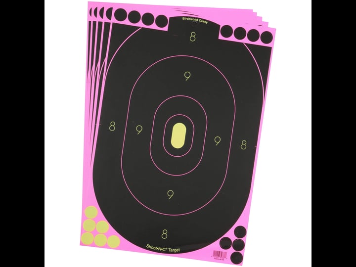 birchwood-casey-shoot-n-c-pink-silhouette-target-1