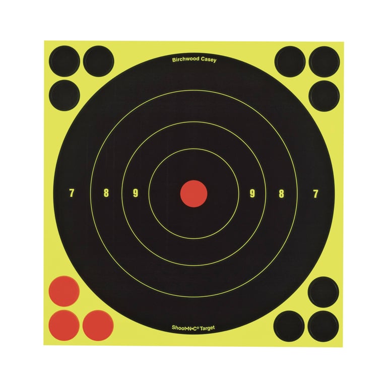 birchwood-casey-shoot-n-c-target-9