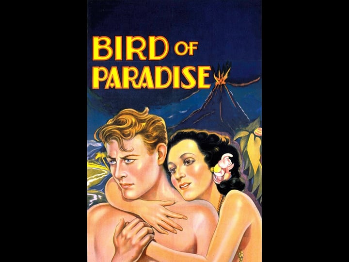 bird-of-paradise-1448459-1