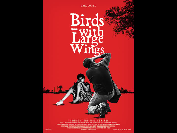 birds-with-large-wings-2773176-1