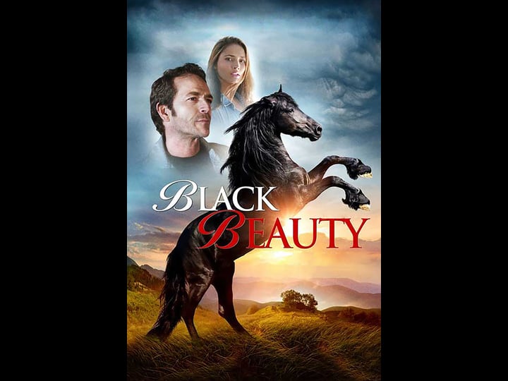 black-beauty-tt3950488-1
