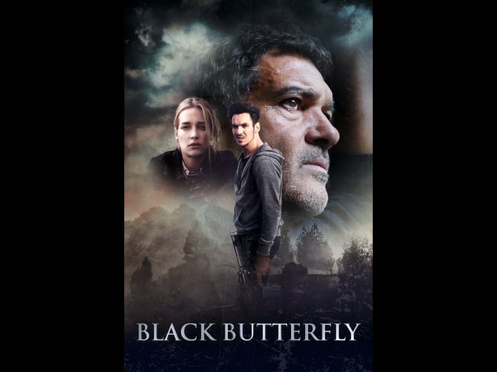 black-butterfly-tt2090465-1