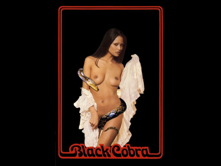 black-cobra-1327896-1