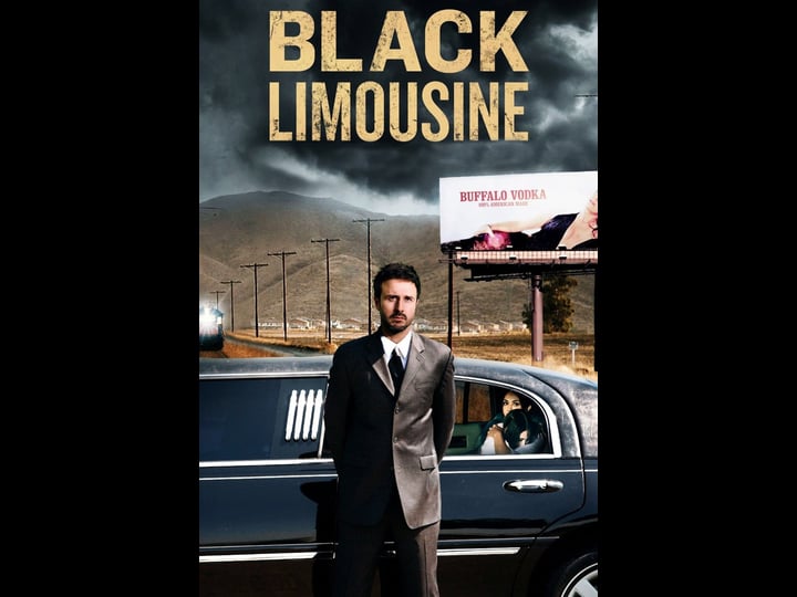 black-limousine-786985-1