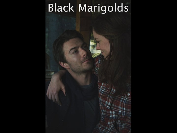 black-marigolds-4412008-1
