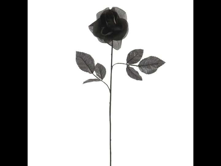 black-open-rose-stem-by-ashland-20-michaels-1