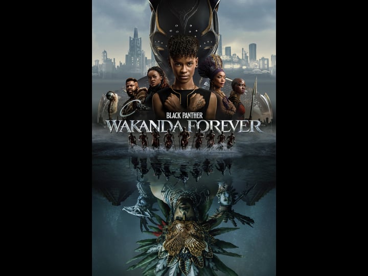 black-panther-wakanda-forever-tt9114286-1