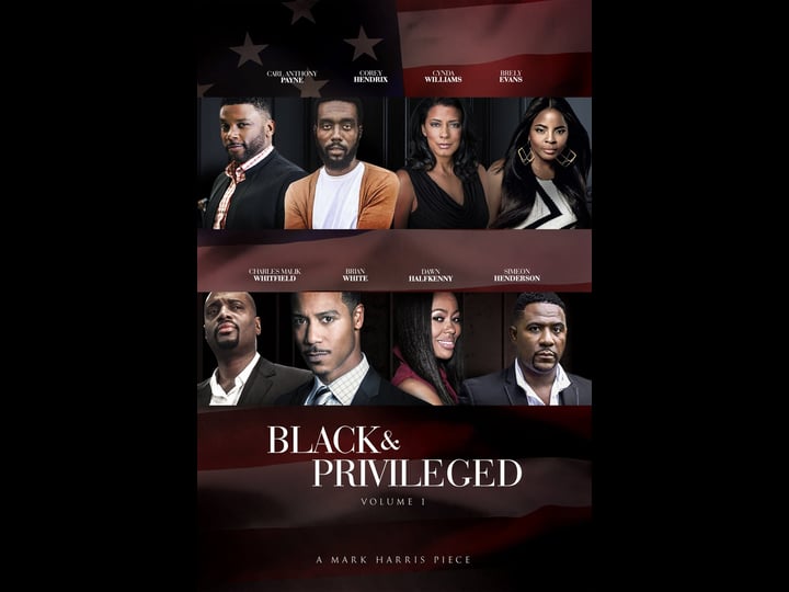 black-privilege-4327218-1