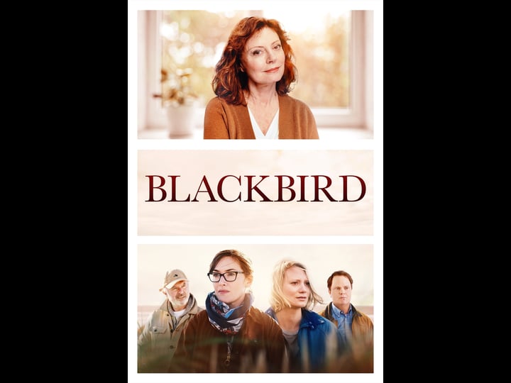 blackbird-tt8717446-1