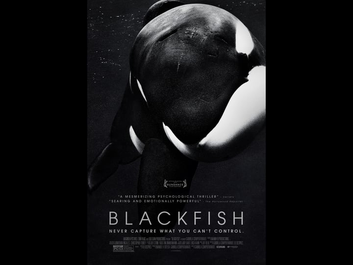 blackfish-tt2545118-1
