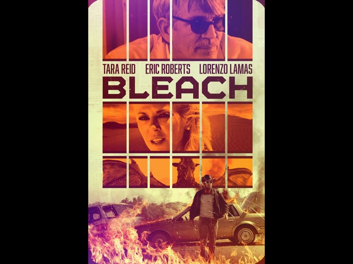 bleach-tt4139336-1