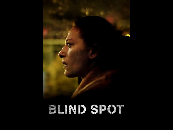 blindsone-4480771-1