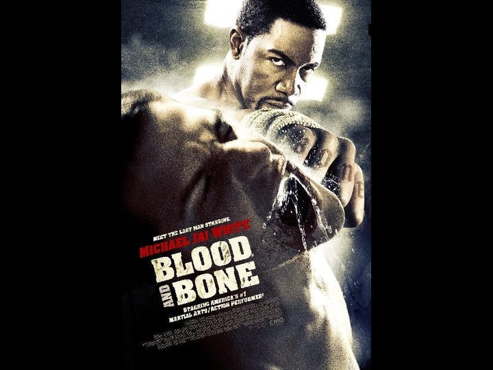 blood-and-bone-tt0346631-1