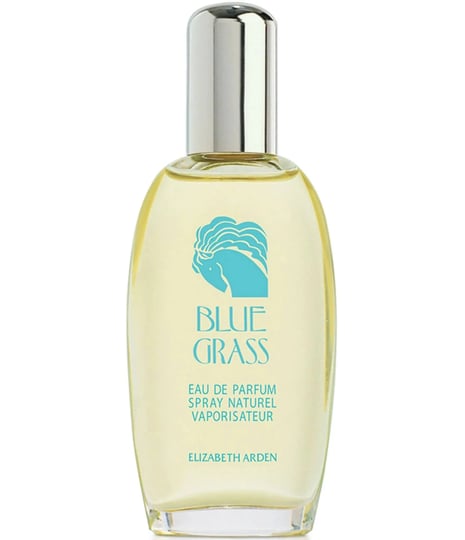blue-grass-by-elizabeth-arden-3-3-oz-eau-de-parfum-spray-women-1