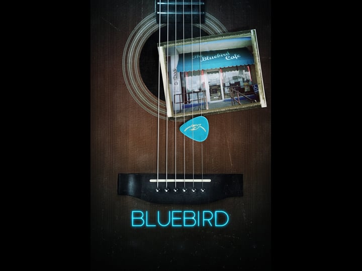 bluebird-tt9602666-1