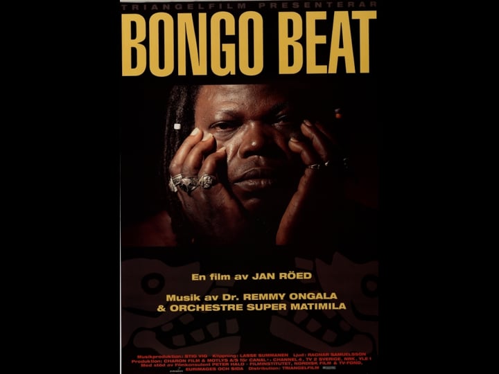 bongo-beat-4431512-1