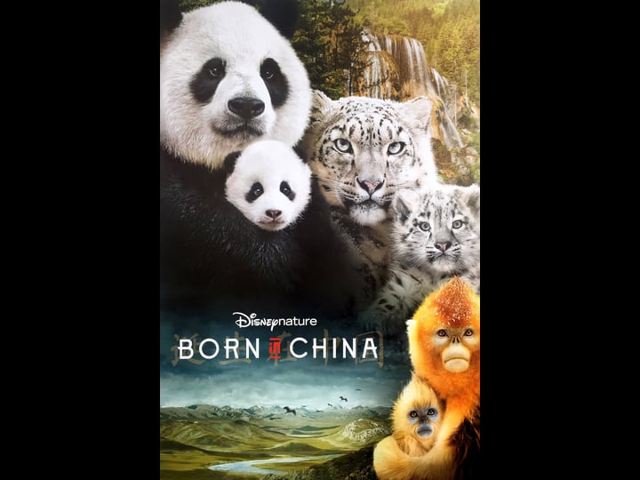 born-in-china-tt4629266-1