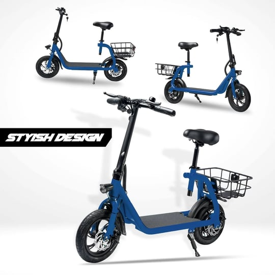 borntech-electric-bike-for-adults-electric-scooter-with-seat-commuter-1