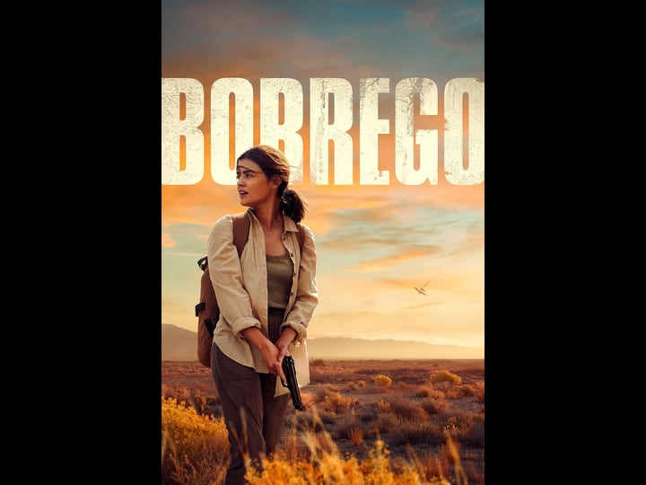 borrego-4460019-1