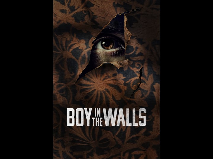 boy-in-the-walls-4488241-1
