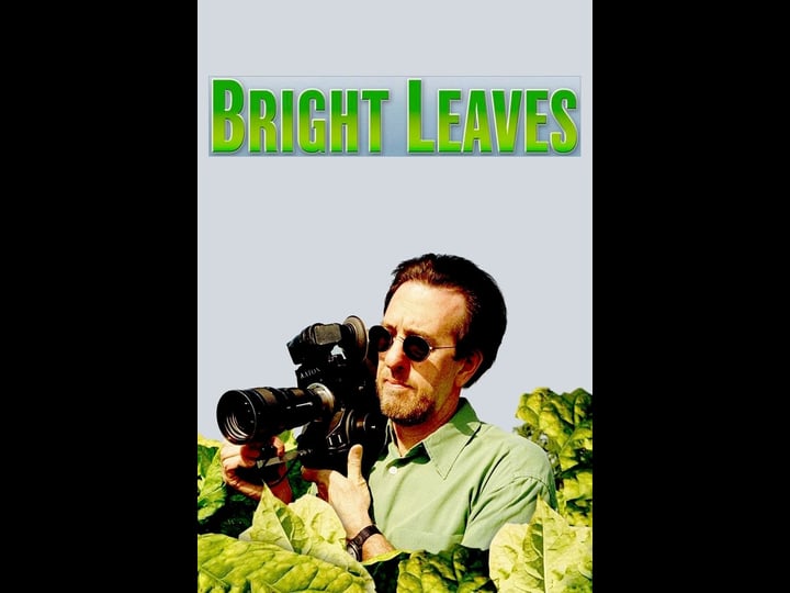 bright-leaves-1610001-1